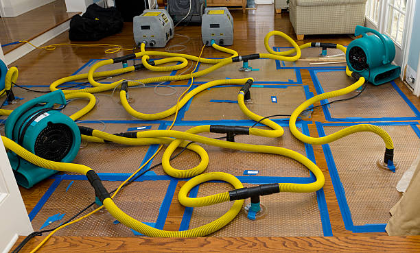 Professional Flood Damage Restoration technician working in Ford, WA